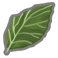 New Leaf